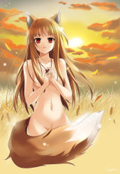 Rule 34 | 00s, 1girl, animal ears, breasts, brown hair, field, highres, holo, long hair, navel, nude, red eyes, solo, spice and wolf, sugaro, tail, wheat, wolf ears, wolf tail