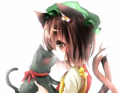 Rule 34 | 1girl, animal, animal ears, bad id, bad pixiv id, blush, brown eyes, brown hair, cat, cat ears, cat tail, chen, closed eyes, ear piercing, earrings, emia, emia (castilla), female focus, hat, jewelry, kiss, kissing animal, multiple tails, nekomata, piercing, ribbon, solo, tail, touhou, upper body