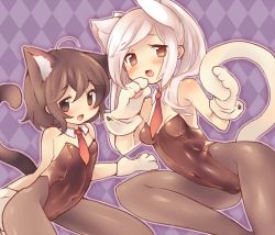 Rule 34 | 2girls, :d, animal ears, animal hands, bad id, bad pixiv id, black hair, blush, brown eyes, cameltoe, cat ears, cat tail, covered navel, detached collar, fire emblem, fire emblem awakening, gloves, kittysuit, leotard, long hair, looking at viewer, morgan (female) (fire emblem), morgan (fire emblem), multiple girls, necktie, nintendo, nontraditional playboy bunny, open mouth, pantyhose, paw gloves, rabbit tail, robin (female) (fire emblem), robin (fire emblem), short hair, silver hair, smile, tail, teu (navy), twintails, white gloves