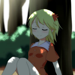 Rule 34 | 1girl, against tree, aki shizuha, arm support, blonde hair, blouse, blush, breasts, cato (monocatienus), collar, dappled sunlight, closed eyes, frilled collar, frilled shirt, frilled shirt collar, frills, knees together feet apart, leaf, leaf on head, maple leaf, object on head, shirt, short hair, short sleeves, sitting, sleeping, small breasts, smile, solo, sunlight, touhou, tree