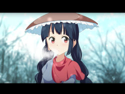 Rule 34 | 1girl, ajirogasa, black hair, braid, breath, capelet, cato (monocatienus), commentary request, day, dress, earlobes, grey dress, hat, letterboxed, long earlobes, looking at viewer, outdoors, red eyes, snow, snowing, solo, touhou, twin braids, upper body, yatadera narumi