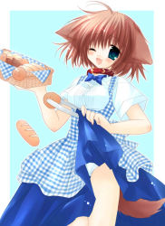 Rule 34 | 1girl, ;d, animal ears, apron, blouse, blue background, blue bow, blue bowtie, bow, bowtie, bread, brown hair, clothes lift, collar, cowboy shot, dog ears, dog tail, fang, food, gingham apron, green eyes, hinata (pure pure), kobeya uniform, looking at viewer, one eye closed, open mouth, outside border, panties, plaid, plaid apron, pure pure, shirt, skirt, skirt lift, smile, solo, tail, thigh gap, thighs, underbust, underwear, white panties, white shirt, wink