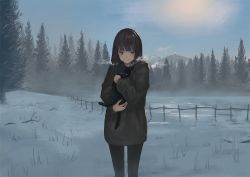 Rule 34 | 1girl, animal, animal hug, arakawa (iru and ruka), black cat, black footwear, blue eyes, blunt bangs, blush, branch, breath, brown hair, cat, closed mouth, day, feet out of frame, fence, forest, grey hoodie, hands up, holding, holding animal, hood, hoodie, hug, lake, landscape, long hair, long sleeves, looking at viewer, mountain, nature, original, outdoors, smile, snow, solo, split mouth, standing, straight-on, wooden fence