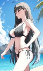 Rule 34 | 1girl, absurdres, anima miko, ass, bare arms, bare legs, bare shoulders, beach, bikini, black bikini, black hair, blue archive, blush, breasts, cowboy shot, day, hair ornament, hairpin, halo, highres, large breasts, long hair, navel, ocean, open mouth, outdoors, palm leaf, red eyes, rio (blue archive), sky, solo, swimsuit