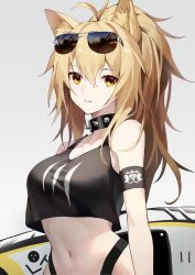 Rule 34 | 1girl, animal ears, antenna hair, arknights, armband, bare shoulders, black collar, black tank top, blonde hair, breasts, collar, commentary request, crop top, crop top overhang, eyewear on head, grey background, hair between eyes, highres, kingdom of victora logo, large breasts, lion ears, long hair, looking at viewer, madao, midriff, navel, siege (arknights), simple background, solo, spiked collar, spikes, stomach, sunglasses, tank top, upper body, yellow eyes