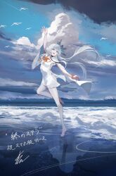Rule 34 | 1girl, arm up, highres, ocean, reflection, reflective water, sky, solo, standing, standing on one leg, swav, white hair