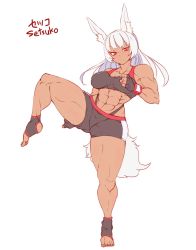 Rule 34 | 1girl, animal ears, dark-skinned female, dark skin, hanzo2929, highres, muscular, muscular female, original, setsuko (hanzo2929), wrestling outfit