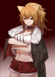 Rule 34 | 1girl, absurdres, animal ears, arknights, black choker, black jacket, breasts, brown hair, chinese commentary, choker, cleavage, collarbone, commentary request, cowboy shot, crossed arms, fur-trimmed jacket, fur-trimmed shorts, fur trim, gradient background, hair between eyes, highres, jacket, jacket on shoulders, lion ears, long hair, looking at viewer, medium breasts, midriff, mouth hold, navel, red background, red shorts, sao7, short shorts, shorts, siege (arknights), solo, standing, stomach, tank top, white tank top, yellow eyes