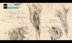 Rule 34 | anatomy, biology, chart, cocoon, concept art, conspiracy, cross-section, diagram, giant, giant monster, godzilla (series), japanese text, kaijuu, legendary pictures, military, monarch (monsterverse), monster, muto (godzilla), official art, promotional art, science, science fiction, sketch, toho, translation request, viral marketing, x-ray