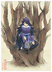Rule 34 | 1boy, black hair, black pants, fengxi (the legend of luoxiaohei), hair over one eye, june mina, leaf, long hair, long sleeves, male focus, pants, plant, pointy ears, sitting, smile, solo, luo xiaohei zhanji, tree, wide shot