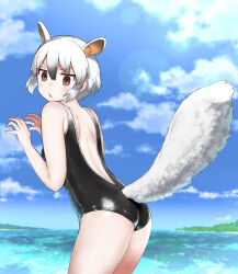 Rule 34 | 1girl, absurdres, animal ears, anteater ears, anteater tail, ass, back, backless outfit, backless swimsuit, black hair, black one-piece swimsuit, blue sky, blush, brown eyes, cowboy shot, day, extra ears, fingernails, flat ass, from side, hair between eyes, hands up, highres, horizon, ito yoki, kemono friends, kemono friends 3, leaning forward, looking at viewer, median furrow, medium hair, multicolored hair, ocean, one-piece swimsuit, outdoors, pale skin, parted bangs, shiny clothes, shoulder blades, sky, solo, southern tamandua (kemono friends), sunlight, swimsuit, tail, tamandua ears, tamandua tail, two-tone hair, water, white hair