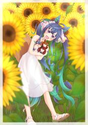 Rule 34 | 1girl, absurdres, ahoge, animal ears, aqua hair, blue eyes, blue hair, blurry, blurry foreground, blush, border, bow, character doll, commentary request, crossed arms, crossed bangs, dress, feet, field, flower, flower field, full body, hair bow, hat, heterochromia, highres, horse ears, horse girl, horse tail, hugging doll, hugging object, ikuno dictus (umamusume), kyana (5024777), leaning to the side, long hair, looking at viewer, matikane tannhauser (umamusume), multicolored hair, nice nature (umamusume), open mouth, purple eyes, sandals, see-through, see-through dress, sharp teeth, sidelocks, solo, straw hat, sun hat, sundress, sunflower, sunflower field, tail, teeth, toenails, toes, toes up, twin turbo (umamusume), twintails, two-tone hair, umamusume, unworn hat, unworn headwear, very long hair, white border, white bow, white dress