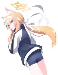 Rule 34 | 1girl, absurdres, animal ear fluff, animal ears, ass, back, black shorts, blue archive, blue eyes, cat ears, cat girl, commentary request, flower, from behind, gym shorts, gym uniform, hair between eyes, hair flower, hair ornament, halo, head tilt, headband, highres, honi (honi1010), jacket, long hair, long sleeves, looking at viewer, looking back, low ponytail, mari (blue archive), mari (track) (blue archive), official alternate costume, official alternate hairstyle, orange hair, parted lips, short shorts, shorts, sidelocks, simple background, solo, surprised, sweatdrop, track jacket, white background, wind
