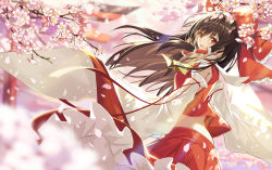 Rule 34 | 1girl, arched back, augu (523764197), bare back, bare shoulders, black hair, bow, brown hair, cherry blossoms, detached sleeves, frilled bow, frills, hair bow, hair tubes, hakurei reimu, long hair, looking at viewer, looking back, midriff peek, petals, red bow, red eyes, red shirt, red skirt, shirt, skirt, sleeveless, sleeveless shirt, smile, solo, torii, touhou, yellow neckwear