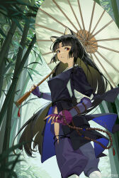 Rule 34 | 1girl, absurdres, animal ears, arknights, armor, artist name, bamboo, beads, bingtang zouzi btzz, black hair, blunt bangs, commentary request, dog ears, dog girl, facial mark, feet out of frame, fingernails, forehead mark, hakama, hakama pants, highres, hip vent, holding, holding umbrella, infection monitor (arknights), japanese clothes, long hair, looking back, pants, parasol, parted lips, plant, purple pants, red eyes, saga (arknights), solo, standing, umbrella, watermark