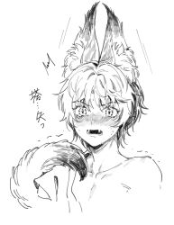 Rule 34 | 1boy, animal ears, bare shoulders, blush, dyed bangs, ears up, embarrassed, fangs, fox boy, fox ears, fox tail, greyscale, hikaru no go, hun (endlesslovehikaru), kemonomimi mode, looking at viewer, male focus, monochrome, multicolored hair, nose blush, off shoulder, open mouth, portrait, shindou hikaru, short hair, simple background, skin fangs, solo, surprised, tail, trembling, two-tone hair