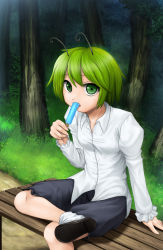 Rule 34 | 1girl, antennae, bench, black footwear, black shorts, breasts, collared shirt, commentary request, day, eating, food, foot out of frame, forest, green eyes, green hair, hair between eyes, highres, leg up, long sleeves, looking at viewer, nature, nekonekosan (kemushima3), open mouth, outdoors, popsicle, shirt, shoes, short hair, shorts, sitting, small breasts, socks, solo, touhou, tree, white shirt, white socks, wriggle nightbug