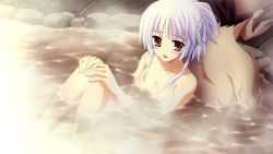 Rule 34 | 1girl, back-to-back, bath, blush, breasts, embarrassed, fortissimo//akkord:bsusvier, game cg, legs, nude, onsen, ooba kagerou, open mouth, pink eyes, purple hair, short hair, sitting, steam, thighs, water, wet