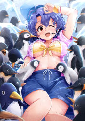 Rule 34 | 1girl, anko222g, antenna hair, arm up, bikini, bird, blue hair, blue shorts, blush, breasts, brown eyes, bucket, collarbone, earrings, fish, front-tie bikini top, front-tie top, headset, ice, idolmaster, idolmaster million live!, idolmaster million live! theater days, jewelry, large breasts, looking at viewer, lying, midriff, navel, on back, one eye closed, open clothes, open mouth, open shirt, orange wristband, penguin, pink shirt, shirt, short hair, short sleeves, shorts, smile, solo, stuffed animal, stuffed penguin, stuffed toy, swimsuit, teeth, toyokawa fuka, twitter username, underboob, upper teeth only, wavy hair, wet, wet clothes, yellow bikini