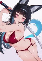 1girl alternate_costume animal_ear_fluff animal_ears armpit_crease bare_shoulders bikini black_hair blue_hair blue_tail blush breasts colored_inner_hair commentary cowboy_shot fox_ears fox_girl fox_tail grey_background highres holding holding_sword holding_weapon hoshimi_miyabi katana large_breasts long_hair looking_at_viewer multicolored_hair navel paid_reward_available parted_lips patreon_username qiandaiyiyu red_bikini red_eyes side-tie_bikini_bottom simple_background solo stomach swimsuit sword tail very_long_hair weapon wet zenless_zone_zero