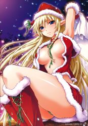 Rule 34 | 1girl, absurdres, alleyne (queen&#039;s blade), alleyne (queen's blade), back, blonde hair, blue eyes, blush, boots, braid, breasts, christmas, collar, elbow gloves, elf, fighting master alleyne, fur trim, g-string, gloves, hat, highres, knee boots, large breasts, leaf print, long hair, night, no bra, omega 2-d, open clothes, open shirt, outdoors, panties, pantyshot, pointy ears, print panties, queen&#039;s blade, santa boots, santa hat, shiny skin, shirt, sitting, snowing, solo, thong, underwear