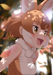 Rule 34 | 1girl, :d, absurdres, animal ear fluff, animal ears, autumn, bare arms, bare shoulders, blurry, blurry background, blush, bow, bowtie, brown hair, brown shirt, commentary, day, dhole (kemono friends), dog ears, dog girl, dog tail, extra ears, falling leaves, highres, kemono friends, leaf, light brown hair, masuyama ryou, multicolored hair, open mouth, outdoors, shirt, short hair, sidelocks, sleeveless, smile, solo, tail, white bow, white bowtie, white hair, white shirt, yellow eyes