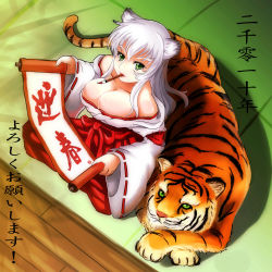 Rule 34 | 10s, 1girl, 2010, animal ears, breasts, calligraphy brush, cat ears, cleavage, from above, green eyes, highres, japanese clothes, kimono, large breasts, miko, mouth hold, new year, original, paintbrush, qblade, scroll, sitting, solo, tiger, white hair