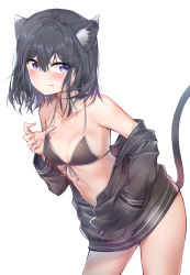 Rule 34 | 1girl, absurdres, adagaki aki, animal ears, bare shoulders, bikini, bikini top only, black hair, blush, breasts, cat ears, cat girl, cat tail, collarbone, commentary, cowboy shot, fang, front-tie top, hair between eyes, hand in pocket, highres, jacket, kemonomimi mode, leaning forward, long sleeves, looking at viewer, masamune-kun no revenge, off shoulder, purple eyes, short hair, simple background, slit pupils, small breasts, solo, standing, strap lift, sunhyun, swimsuit, tail, white background