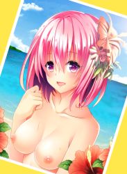 Rule 34 | 1girl, :d, beach, blue sky, blush, border, breasts, cloud, collarbone, day, female focus, ffcreatyuuki, flower, food, fruit, hair between eyes, hair flower, hair ornament, head tilt, hibiscus, horizon, leaf, looking at viewer, md5 mismatch, momo velia deviluke, nipples, ocean, open mouth, outdoors, peach, photo (object), pink eyes, pink hair, plant, purple eyes, resolution mismatch, revision, sand, shore, short hair, simple background, sky, smile, solo, source larger, sunlight, sweat, sweatdrop, tareme, to love-ru, topfreedom, topless, topless frame, upper body, water, white border, yellow background