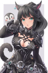 Rule 34 | 1girl, animal ears, animal on arm, arm up, warrior of light (ff14), bird, black tail, breasts, cat ears, cat tail, cleavage, diamond-shaped pupils, diamond (shape), earrings, final fantasy, final fantasy xiv, grey eyes, jewelry, long hair, looking at viewer, medium breasts, miqo&#039;te, parted lips, penguin, ponytail, single earring, solo, symbol-shaped pupils, tail, ten (tenchan man)