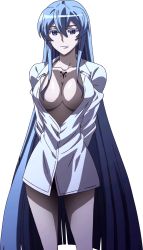 Rule 34 | 10s, 1girl, akame ga kill!, blue eyes, blue hair, esdeath, extraction, highres, long hair, matching hair/eyes, solo, transparent background, very long hair