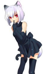 Rule 34 | 1girl, animal ears, bare shoulders, black dress, cat ears, cat tail, dress, elbow gloves, finger to mouth, gloves, hand on thigh, highres, leaning forward, original, piyodera mucha, red eyes, short hair, sleeveless, sleeveless turtleneck, smile, solo, tail, thighhighs, turtleneck, white background, white hair