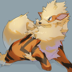 Rule 34 | arcanine, bad id, bad pixiv id, bright pupils, closed mouth, commentary request, creatures (company), fangs, game freak, gen 1 pokemon, grey background, grey eyes, highres, looking to the side, mian (3zandora), nintendo, no humans, pokemon, pokemon (creature), solo, toes, white pupils