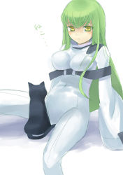 Rule 34 | 00s, 1girl, animal, arthur (code geass), black cat, breasts, c.c., cat, code geass, green hair, hamamo, impossible clothes, large breasts, long hair, looking at viewer, robe, simple background, sitting, solo, spread legs, straitjacket, turtleneck, very long hair, white background, yellow eyes
