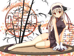 Rule 34 | 1girl, animal ears, arm support, bare shoulders, blonde hair, blush, cat ears, cat tail, china dress, chinese clothes, dress, gizensha, gloves, hairband, high heels, long hair, lying, original, panties, red eyes, shoes, solo, tail, thigh gap, thighhighs, underwear, wallpaper, white hair, white panties, white thighhighs, zettai ryouiki