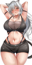 Rule 34 | 1girl, absurdres, animal ears, arknights, arm strap, armpits, arms behind head, arms up, bandeau, bare shoulders, black shorts, breasts, cat ears, cleavage, commentary request, cowboy shot, crop top, grey hair, hair between eyes, head tilt, highres, large breasts, long hair, looking at viewer, midriff, navel, parted lips, schwarz (arknights), short shorts, shorts, simple background, sleeveless, solo, standing, stomach, thighs, uminekoin kujira, very long hair, white background, yellow eyes