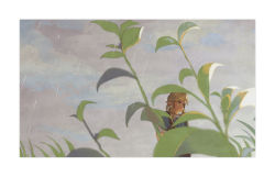 Rule 34 | 1boy, blonde hair, blue eyes, closed mouth, cloud, commentary, earrings, framed, from side, grass, grey sky, jewelry, link, long hair, long sleeves, looking to the side, male focus, naru116, nintendo, plant, pointy ears, rain, sidelocks, sky, solo, standing, the legend of zelda, the legend of zelda: breath of the wild