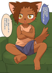 Rule 34 | 1boy, bulge, couch, erection, erection under clothes, furry, furry male, male focus, manmosu marimo, original, sitting, solo, tagme, translation request, underwear