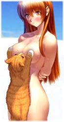 Rule 34 | 1girl, arms behind head, blush, breasts, cat, censored, convenient censoring, dead or alive, ebina souichi, kasumi (doa), large breasts, living clothes, looking at viewer, medium breasts, nude, orange eyes, red hair, solo, standing, tecmo, wet, what, yonic symbol