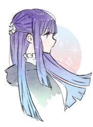Rule 34 | 1girl, black robe, blue eyes, blue hair, blunt bangs, closed mouth, fern (sousou no frieren), from side, gradient hair, hair ornament, hood, hood down, hooded robe, long hair, multicolored hair, nora (salatto), profile, purple hair, robe, simple background, solo, sousou no frieren, sparkle, upper body