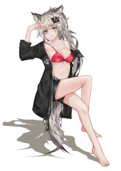 Rule 34 | 1girl, absurdres, animal ears, arknights, arm up, bare legs, bare shoulders, barefoot, bikini, black jacket, black shorts, breasts, character name, clothes writing, collarbone, commentary, full body, grey eyes, hair ornament, hairclip, head tilt, highres, invisible chair, jacket, lappland (arknights), long hair, looking at viewer, medium breasts, off shoulder, oldercat, open clothes, open jacket, ponytail, red bikini, scar, scar across eye, scar on face, shadow, short shorts, shorts, silver hair, simple background, sitting, solo, stomach, swimsuit, tail, thighs, white background, wolf ears, wolf tail