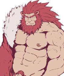 Rule 34 | 1boy, abs, animal ears, bara, bare pectorals, beard, caineghis (fire emblem), cape, facial hair, fire emblem, flat color, highres, kagemaru (kagemaru321), large pectorals, lion ears, long hair, male focus, male pubic hair, mature male, muscular, muscular male, naked cape, navel, nintendo, nipples, pectorals, penis, penis peek, pubic hair, red hair, single bare shoulder, solo, stomach, thick eyebrows, upper body, white background