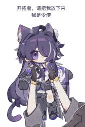 Rule 34 | 2girls, absurdres, acheron (honkai: star rail), ahoge, animal ear fluff, animal ears, axue, bandaged arm, bandaged leg, bandages, black footwear, black gloves, boots, cat ears, cat girl, cat tail, chain, chain around arm, chibi, chinese commentary, coat, coattails, commentary request, gloves, hair intakes, hair ornament, hair over one eye, halterneck, highres, honkai: star rail, honkai (series), knee boots, long hair, looking at viewer, multicolored hair, multiple girls, pov, purple eyes, purple hair, simple background, single knee boot, single thigh boot, single wide sleeve, stelle (honkai: star rail), streaked hair, tail, thigh boots, trailblazer (honkai: star rail), translation request, very long hair, white background, white coat