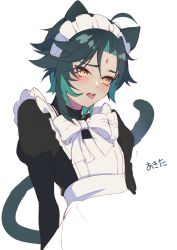 Rule 34 | 1boy, animal ears, apron, bow, bowtie, cat ears, cat tail, genshin impact, green hair, kh66gs, maid, maid apron, maid headdress, open mouth, short hair, solo, tail, tongue, tongue out, trap, white background, white bow, white bowtie, xiao (genshin impact), yellow eyes