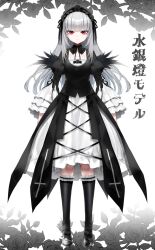 Rule 34 | 1girl, black dress, black hairband, commentary request, doll joints, dress, expressionless, flower, frilled socks, frills, full body, gothic lolita, grey hair, hairband, highres, joints, lolita fashion, long hair, looking at viewer, pale skin, red eyes, rose, rozen maiden, socks, solo, suigintou, tousen, wide sleeves