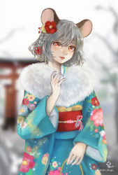 Rule 34 | 1girl, alternate costume, alternate hairstyle, animal ears, bare tree, blue kimono, blurry, blurry background, braid, commentary request, cowboy shot, day, depth of field, floral print, flower, grey hair, hair between eyes, hair flower, hair ornament, hand on own chest, head tilt, highres, hoshiringo0902, japanese clothes, kimono, light smile, lips, looking at viewer, mouse ears, nazrin, new year, obi, outdoors, parted lips, red eyes, sash, short hair, side braid, signature, solo, standing, standing on one leg, stole, thick eyebrows, torii, touhou, tree, twitter username