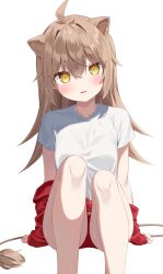 Rule 34 | 1girl, ahoge, animal ears, breasts, brown hair, buruma, clothes pull, feet out of frame, gym shirt, gym uniform, hair between eyes, head tilt, highres, indie virtual youtuber, jacket, jacket pull, k mugura, knees up, lion ears, lion girl, lion tail, long hair, looking at viewer, red buruma, red jacket, rurudo lion, shirt, short sleeves, simple background, sitting, small breasts, solo, tail, track jacket, very long hair, virtual youtuber, white background, white shirt, yellow eyes