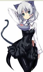 Rule 34 | 1girl, animal ears, blue eyes, cat ears, necktie, pantyhose, sanya v. litvyak, short hair, silver hair, solo, strike witches, world witches series, zizi (zz22)