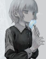 Rule 34 | 1girl, blue eyes, blue flower, blunt bangs, buttons, collar, crying, curtains, empty eyes, expressionless, fingernails, flower, flower to mouth, frilled collar, frills, from side, frown, giv 81, grey background, hands up, highres, holding, holding flower, jitome, light frown, long sleeves, looking ahead, medium bangs, medium hair, muted color, original, pale skin, parted lips, sidelocks, simple background, sleeve cuffs, solo, sparks, streaming tears, tears, upper body, wavy eyes, white hair