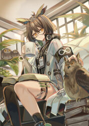 Rule 34 | 1girl, absurdres, antenna hair, arknights, armband, asymmetrical legwear, bird, black socks, black thighhighs, book, book stack, brown eyes, brown hair, closed mouth, coat, cup, glasses, hair between eyes, highres, holding, holding cup, indoors, long sleeves, looking at viewer, open book, open clothes, open coat, owl, petting, plant, short hair, silence (arknights), single sock, single thighhigh, sitting, sleeves past wrists, socks, solo, suzaku (zaku6584), test tube, thigh strap, thighhighs, uneven legwear, white coat